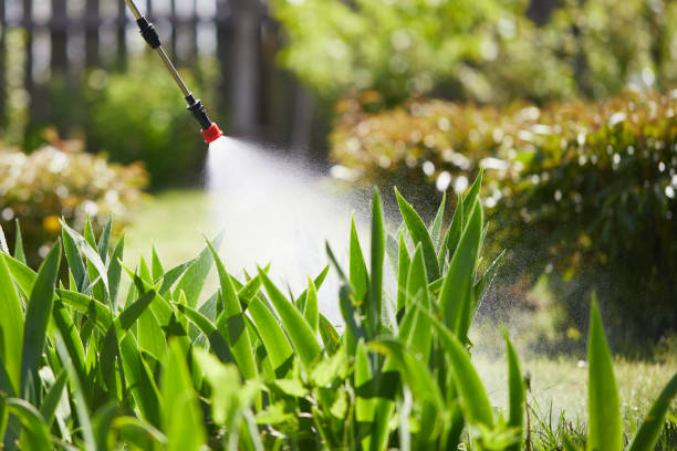 24/7 Emergency Bed Bug Control experts in Lexington, KY