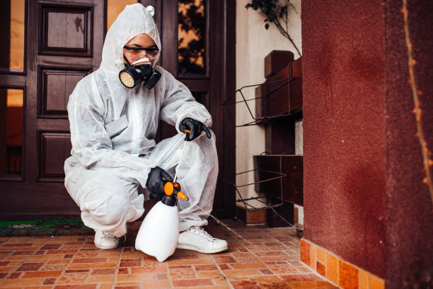 Reliable Bed Bug Control contractor in Lexington, KY by Nex Pest Control