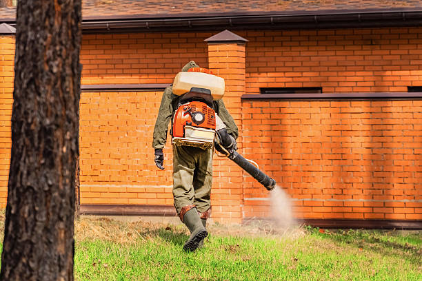 Trusted Cockroach Control service in Lexington, KY - Nex Pest Control